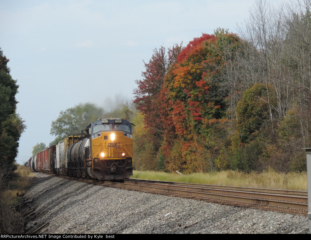 8906 passing the fall leaves 